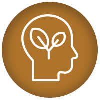 Youth Counselling services in Northamptonshire